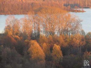 �������� ������������ 